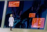 Simulation bodies.