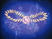 The Jewel of the Four Souls.